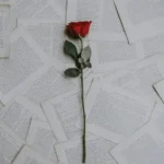 دانلود رمان آنائل رانده شده دانلود رمان آنائل رانده شده