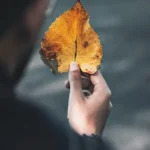 دانلود رمان قند مکرر از سلبی ناز رستمی pdf دانلود رمان قند مکرر از سلبی ناز رستمی pdf