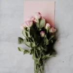 دانلود رمان جایی نرو اثر معصومه آبی به صورت رایگان دانلود رمان جایی نرو اثر معصومه آبی به صورت رایگان