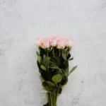 دانلود رمان این مرد امشب میمیرد از زینب ایلخانی بدون سانسور دانلود رمان این مرد امشب میمیرد از زینب ایلخانی بدون سانسور